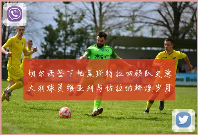 切尔西签下帕莱斯特拉回顾队史意大利球员维亚利与佐拉的辉煌岁月