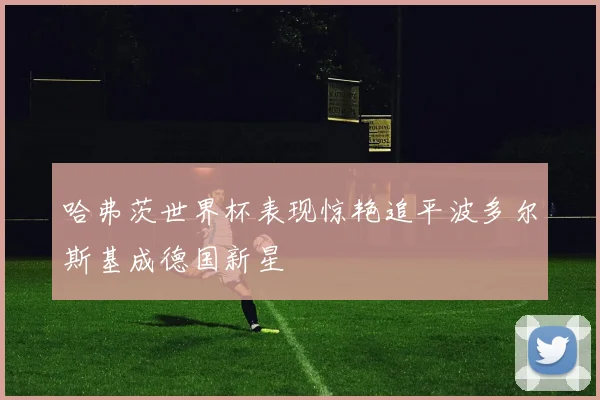 哈弗茨世界杯表现惊艳追平波多尔斯基成德国新星