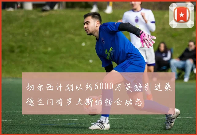 切尔西计划以约6000万英镑引进桑德兰门将罗夫斯的转会动态