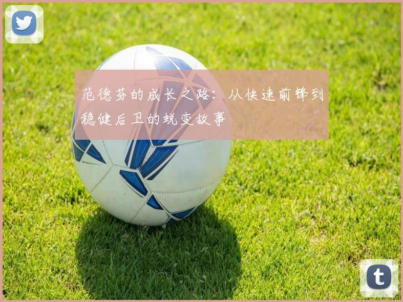 范德芬的成长之路：从快速前锋到稳健后卫的蜕变故事