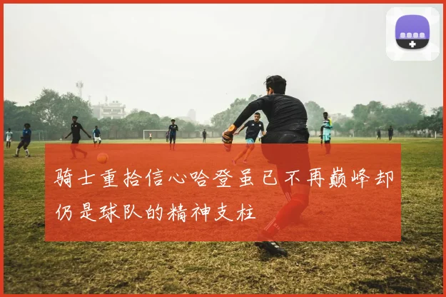 骑士重拾信心哈登虽已不再巅峰却仍是球队的精神支柱